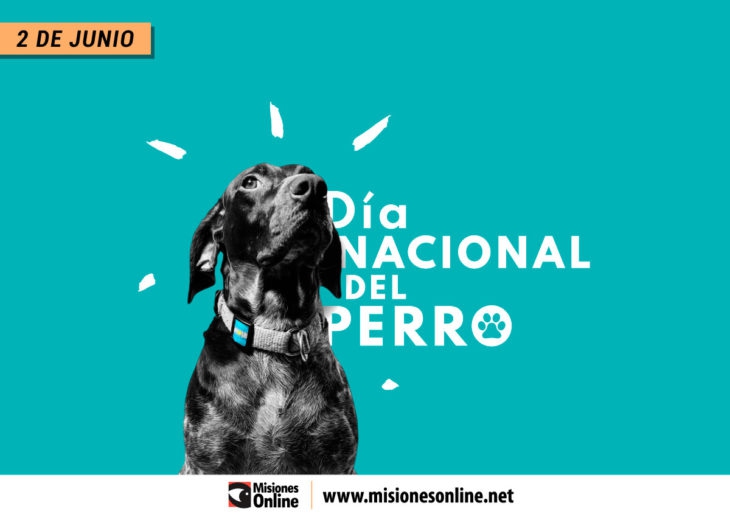 El_Día_Nacional_del_Perro_recuerda_la_historia_del_perro_policía_Chonino