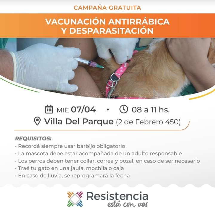 vacunación_mascotas