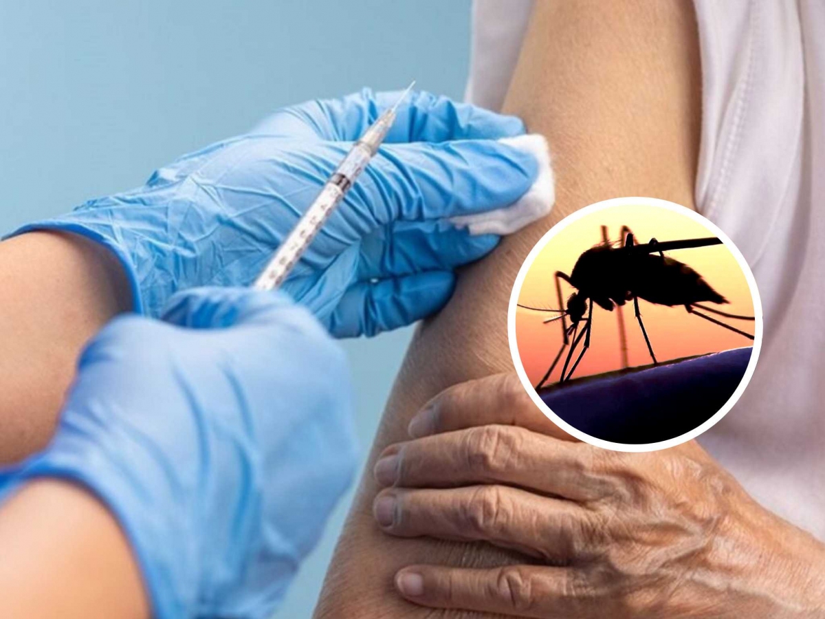 vacunas_contra_el_Dengue