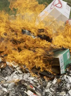 ncineraron 3500 cartones de cigarrillos 1