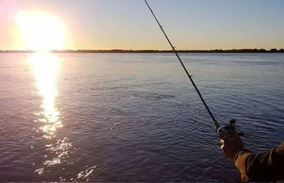 veda - pesca