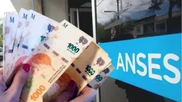 bono anses