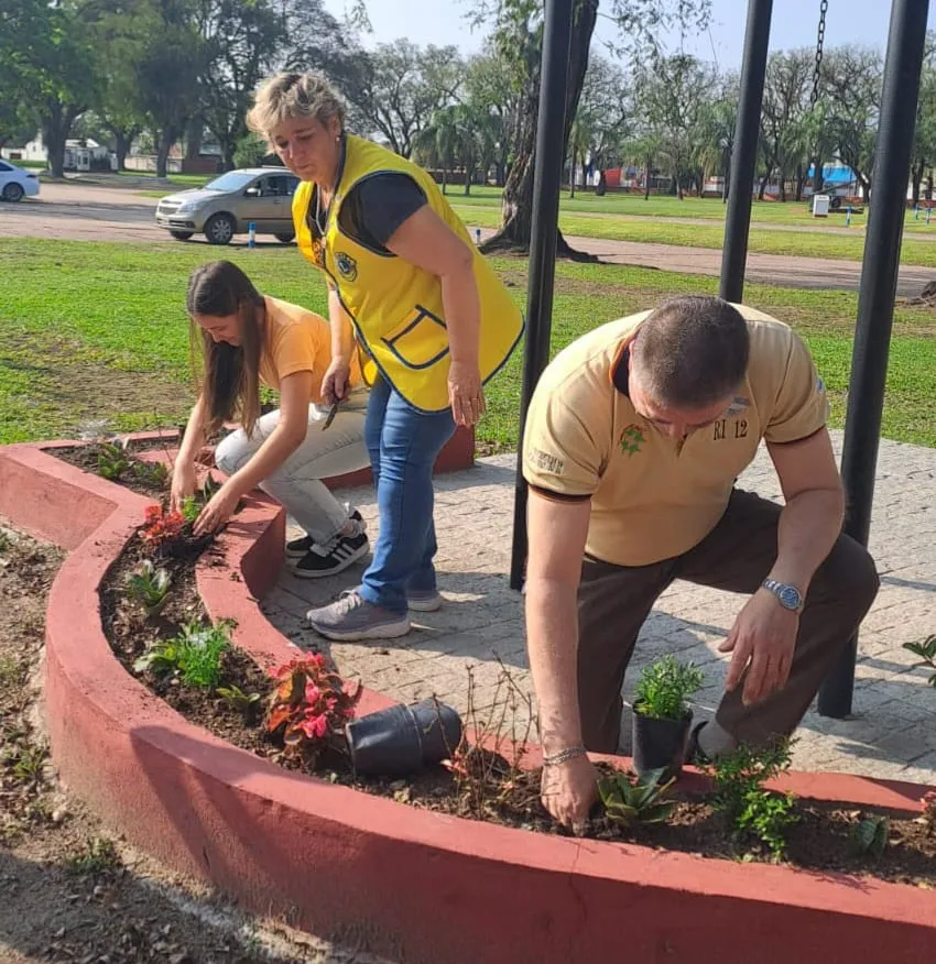 plantacion