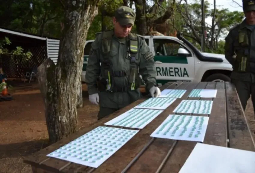 En Corrientes, Gendarmería secuestro 700 pastillas de éxtasis
