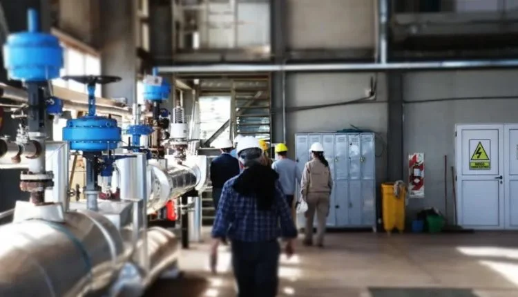 actividad industrial