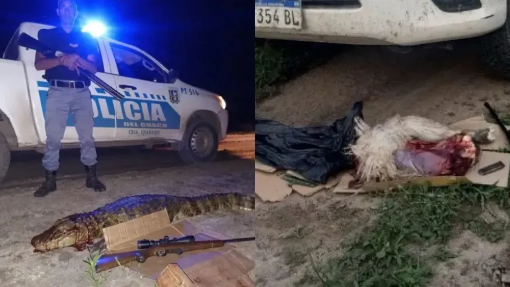 Dos hombres fueron detenidos por caza ilegal