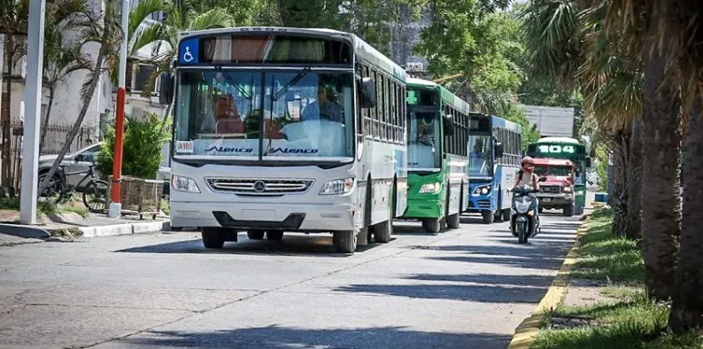 COLECTIVOS