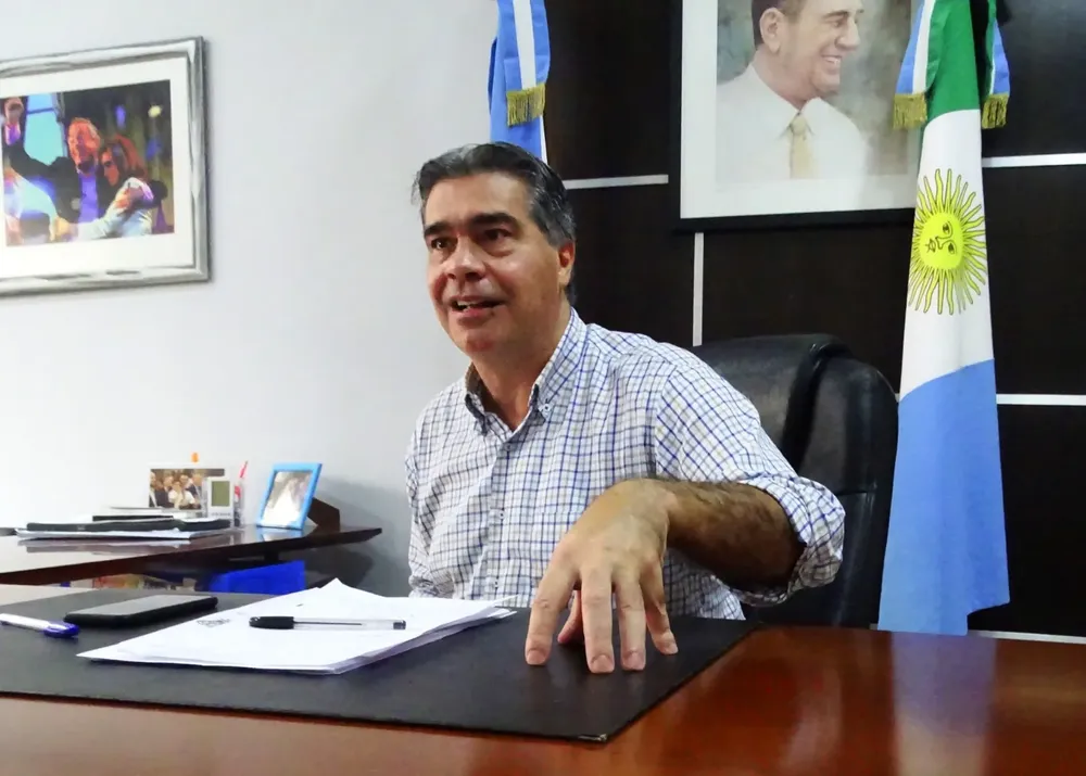 docentes