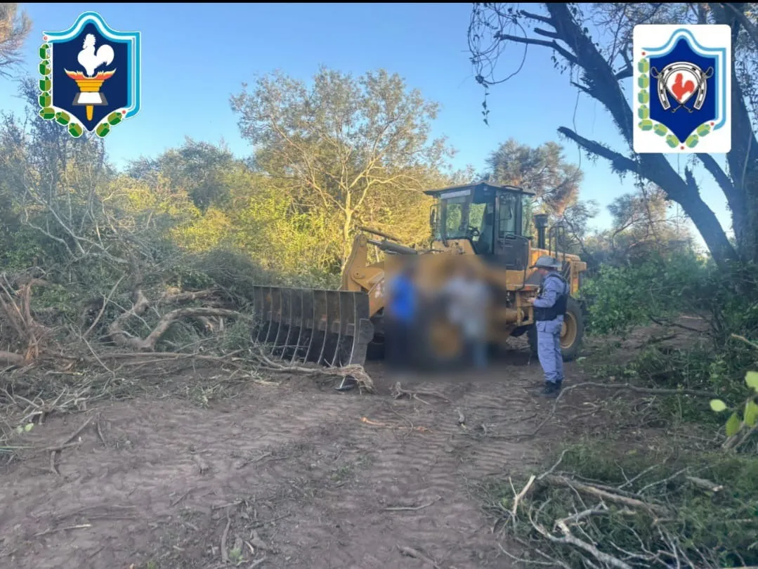 santa silvina desmonte