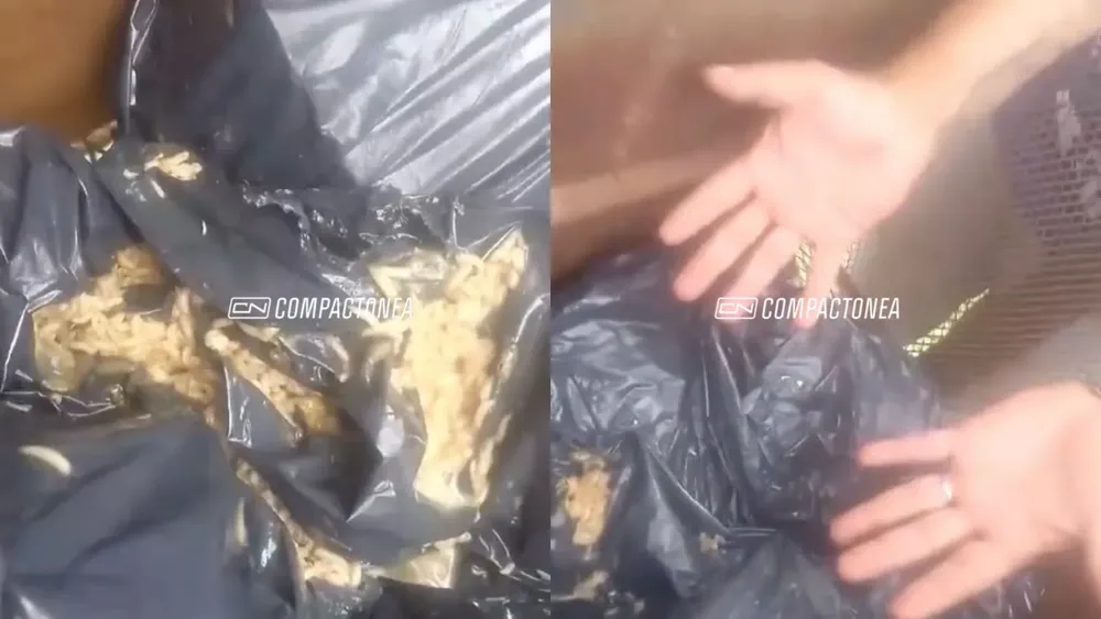 Recolectores de basura reclaman que trabajan en condiciones inhumanas