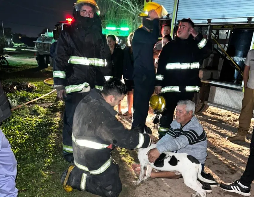 Bomberos rescataron a un perro que quedo atrapado en el incendio de una vivienda