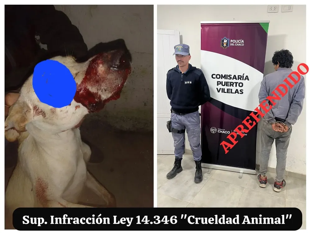 preso- perro