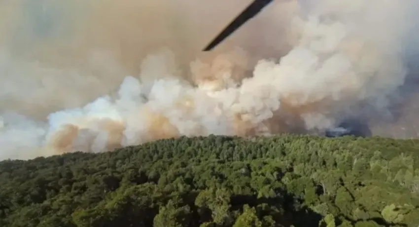 Incendio en el Parque Nacional Nahuel Huapi