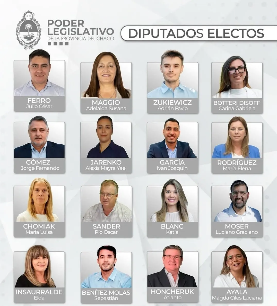 diputados electos