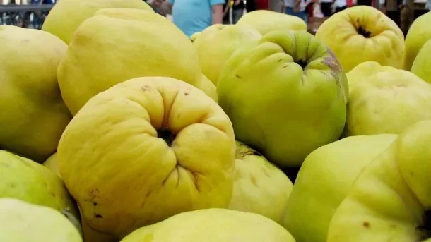 membrillo