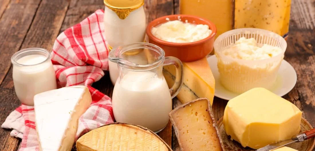 MAYO LACTEOS
