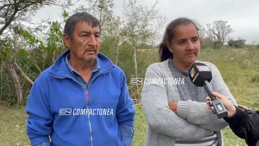 PAPAS DE LOAN