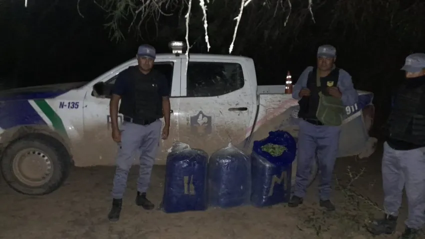 incautan carga de hojas de coca valuada en 3 millones de pesos