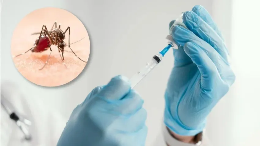 dengue