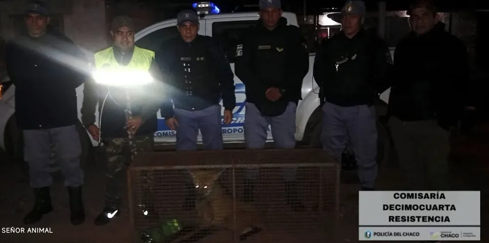 aguara guazu resistencia