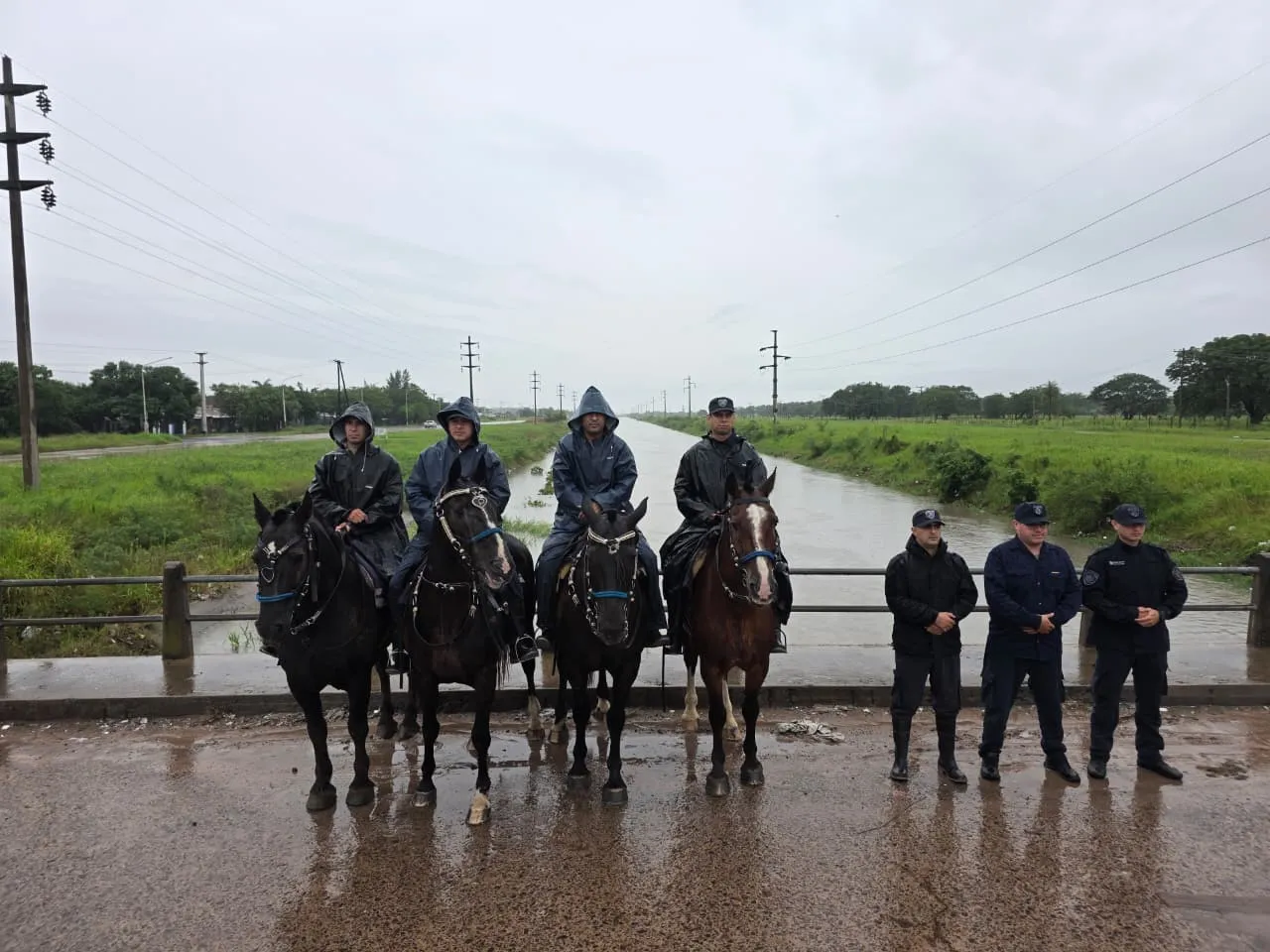 policia rural