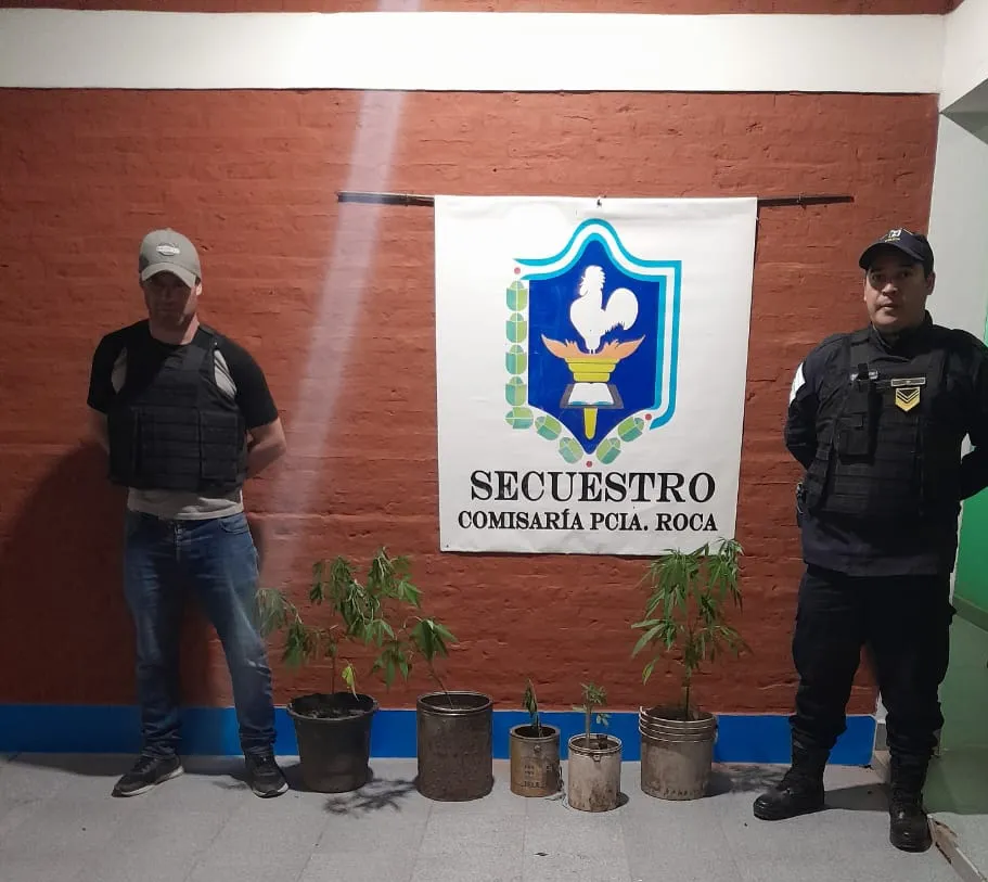 plantas-