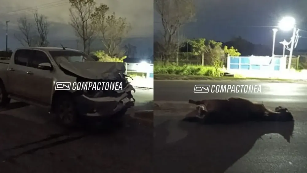accidente en sabin