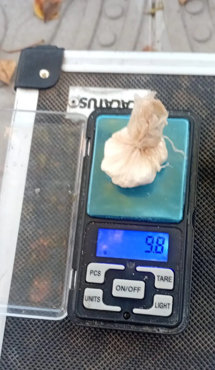 cocaina en moto