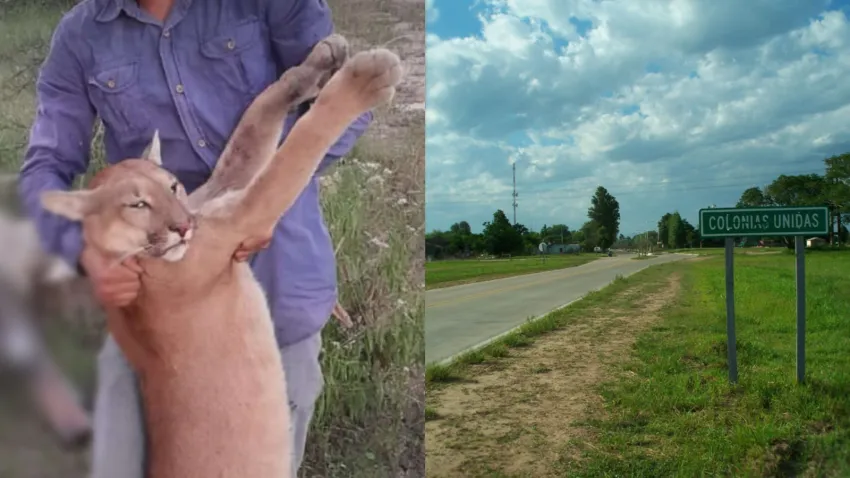 cazó un puma, lo mostro en redes sociales y ahora enfrenta una causa judicial 