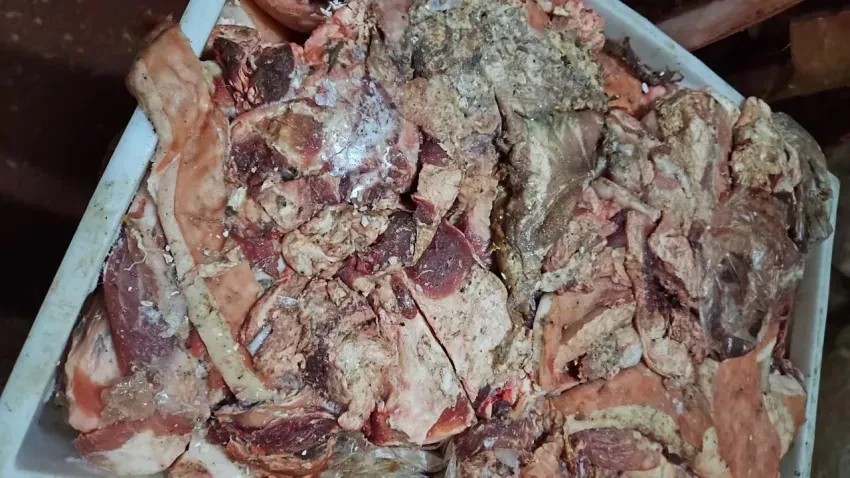 carne en mal estado