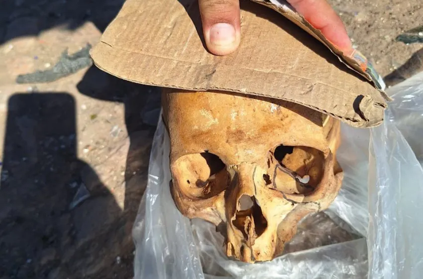 Encontraron un cráneo humano entre residuos