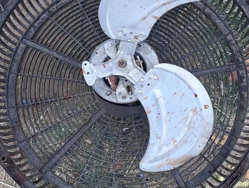 usaba el ventilador sin protección, un aspa se desprendió y lo mató