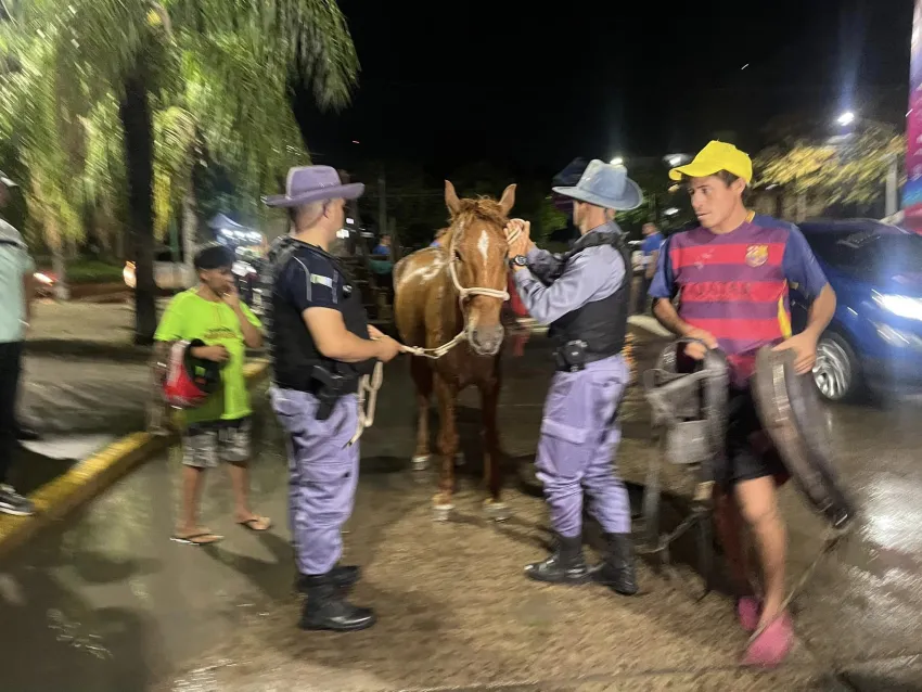 rescataron un caballo con signos de agotamiento