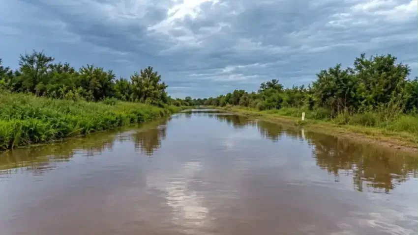 1000318362-6ad364507068d231191429