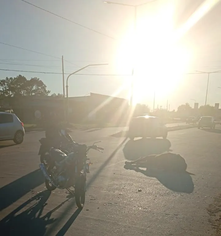 moto y caballo