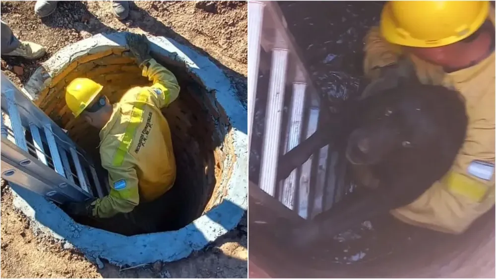 rescataron a un perro que cayó en un pozo de tres metros