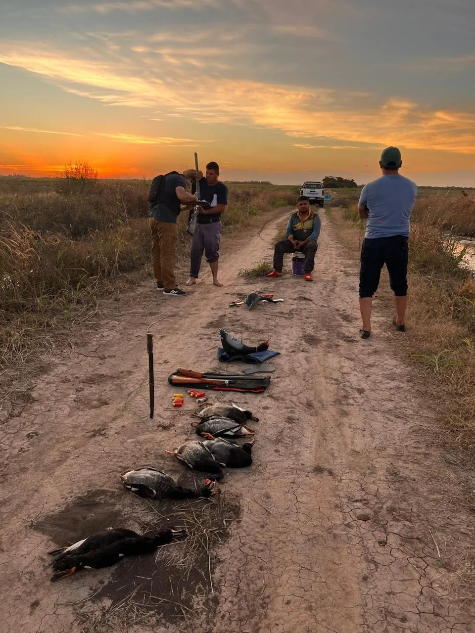 villa berthed caza ilegal