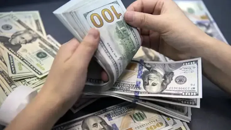 dolares