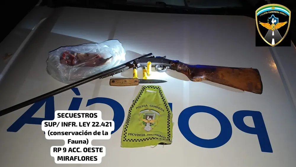 armas de fuego