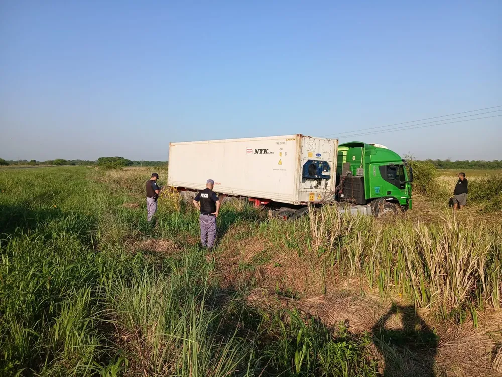 camion despisto