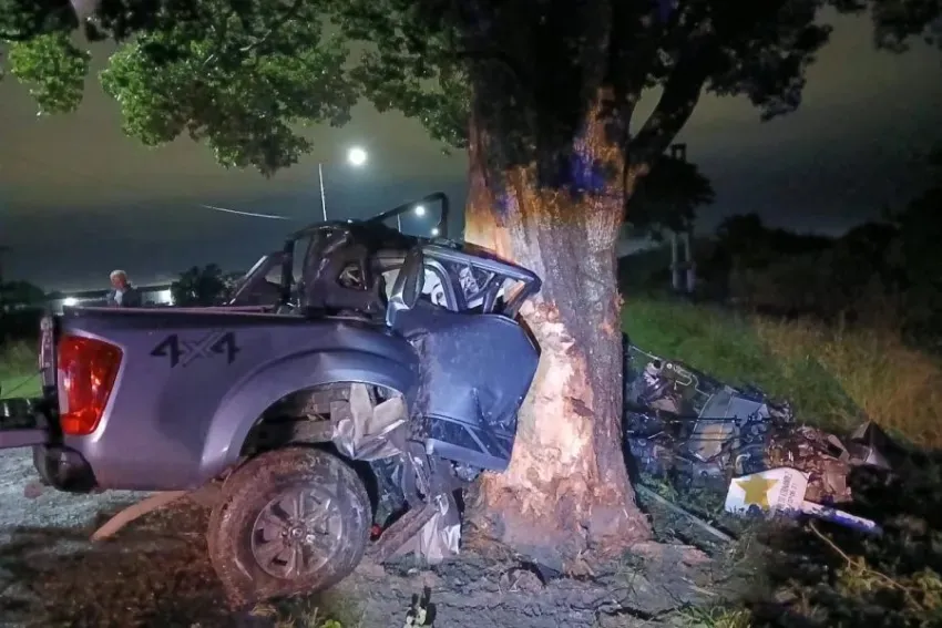 choque contra un arbol