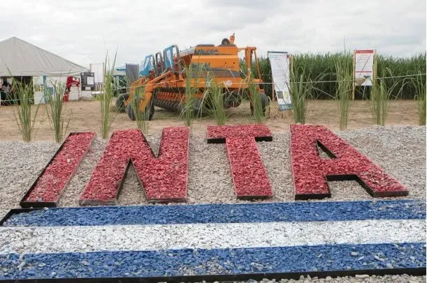 inta
