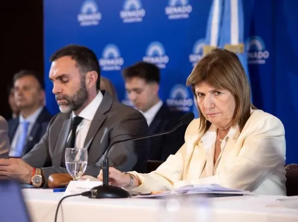 bullrich senadora
