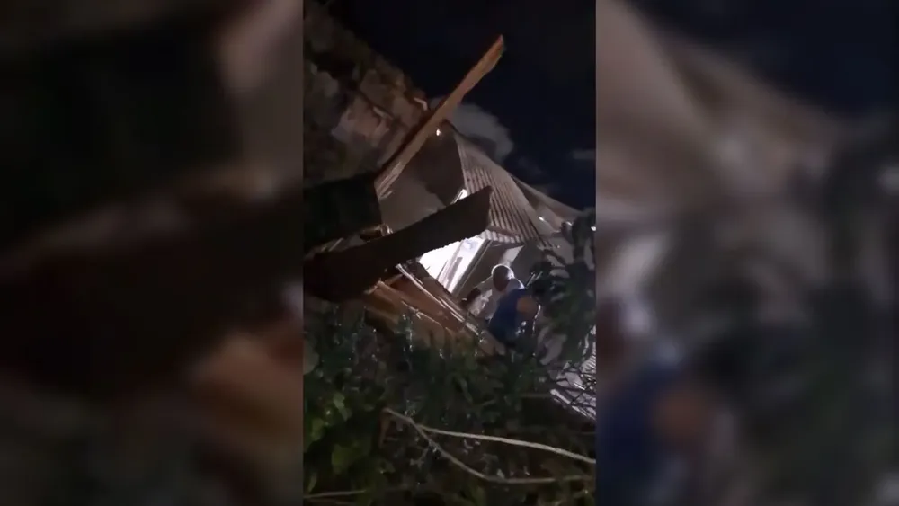 El temporal dejó  varios árboles caídos 